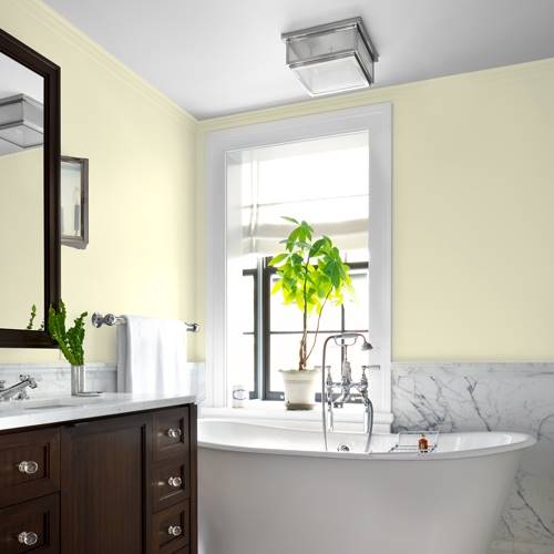 Silver sage paint discount